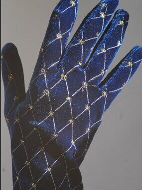 La Crasia 1970's Dark Blue Velour Gloves With Metallic Star Accents - New York